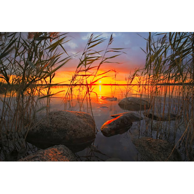 " Sunset In Reeds " by Louis-Ferdinand