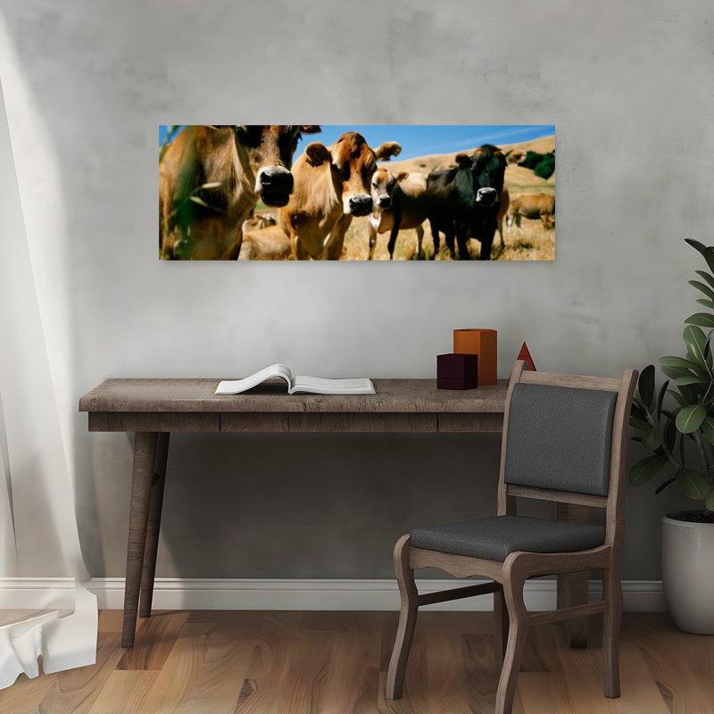 Close Up Of Cows California USA by Thomas Winz - Wrapped Canvas Panoramic Print, 30.48 cm H x 91.44 cm W