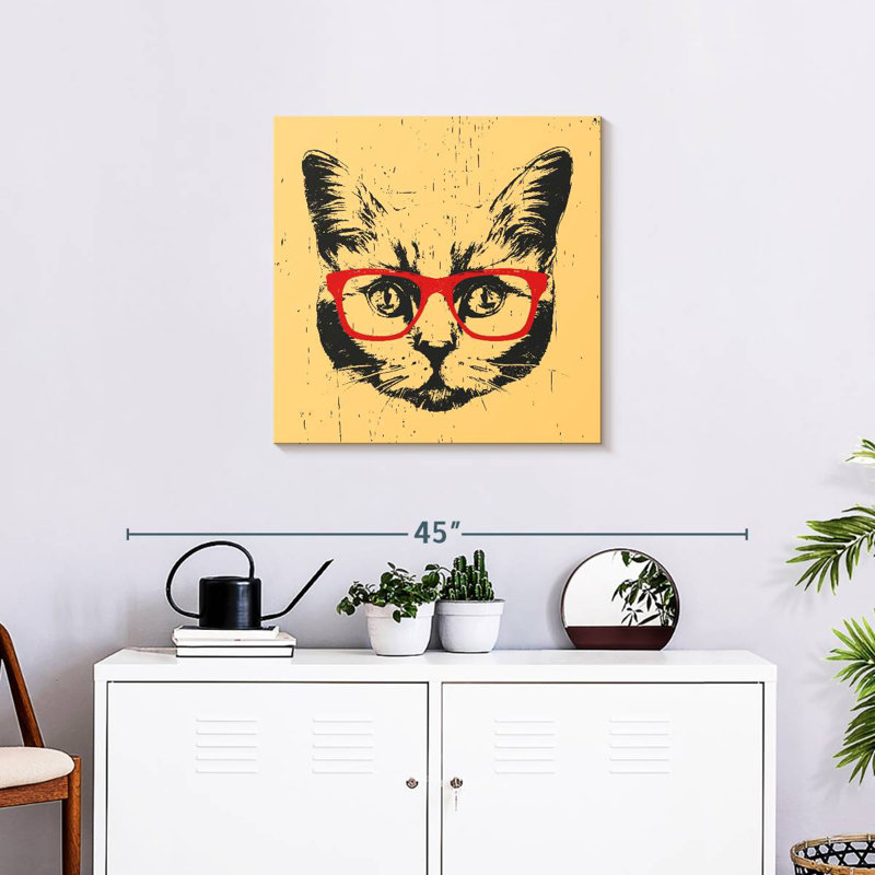 Chat Brampt avec lunettes
