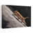 Uphill Abstract Contemporary Wall Art-1910088538
