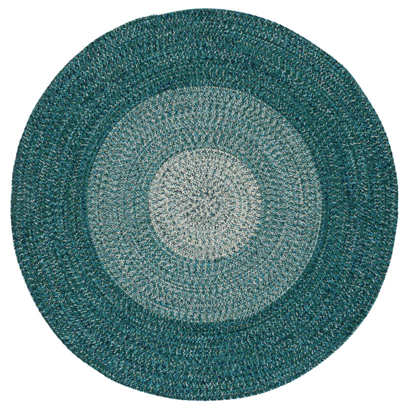 Braided Hand Woven Machine Washable No Pattern Outdoor Rug, Round 5'