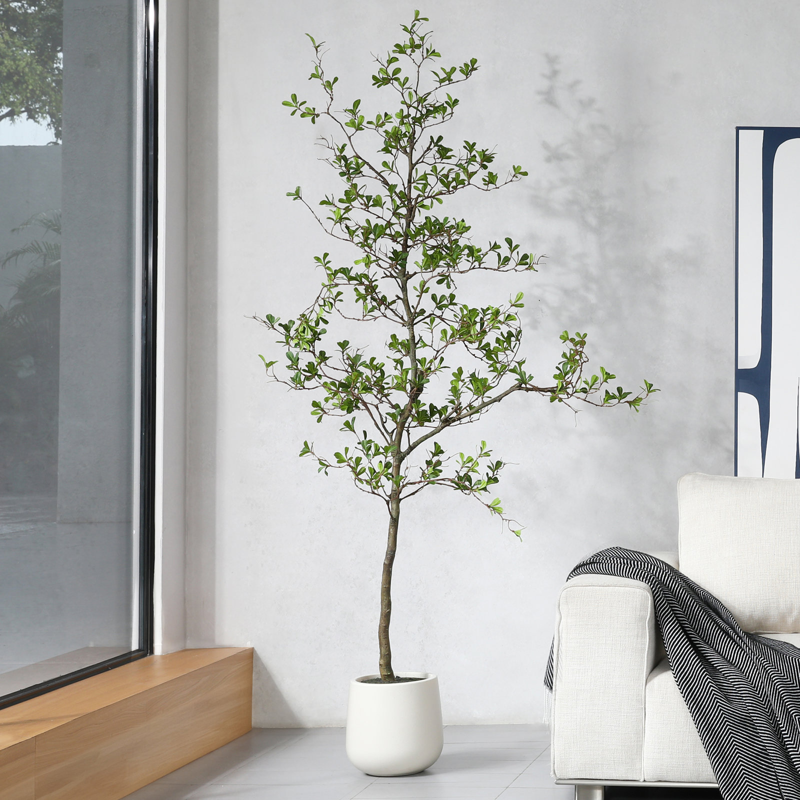 George Artificial Black Olive Tree in White Pot, Tall Faux Shady Lady Tree for Indoor Home Decor, 84" H x 28" W x 28" D