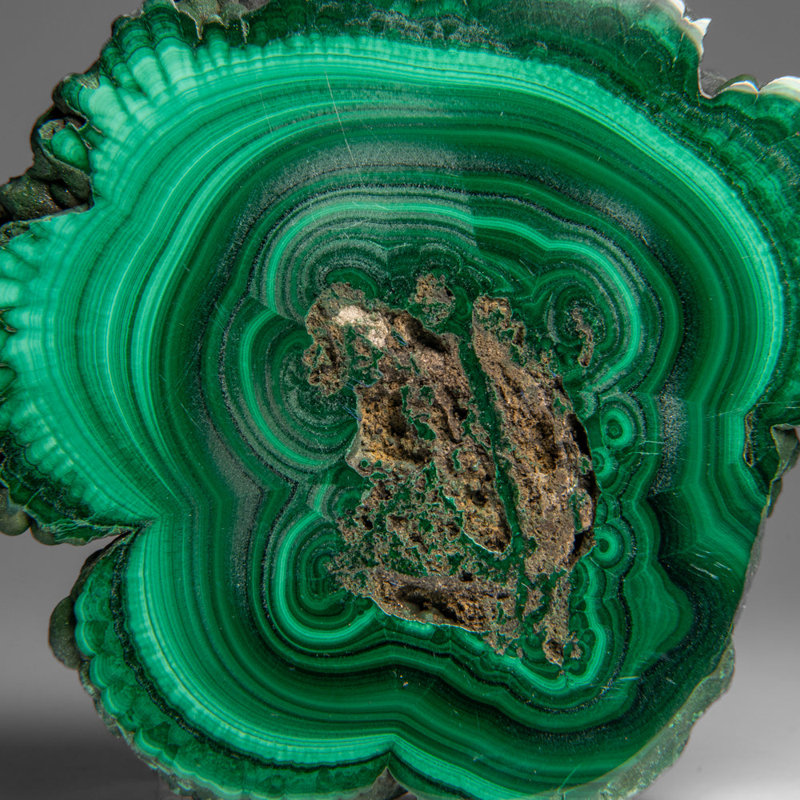 Genuine Polished Malachite Stalactite Slice (229 Grams)
