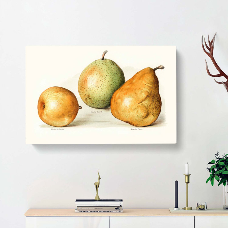 Vintage Illustrations Of Pears - Wrapped Canvas Painting, 40cm H x 60cm W x 3cm D