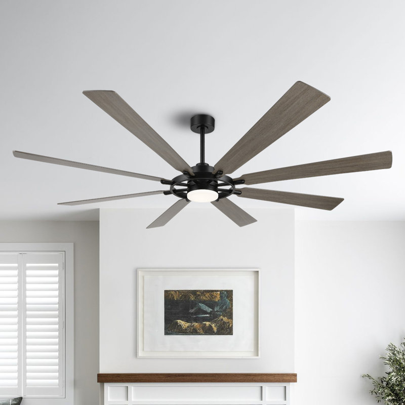 Antoinesha 8 lumières DEL standard avec télécommande et ensemble d'éclairage inclus, Noir, gris, 72"