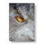 Eye Of An Owl In Abstract - Wrapped Canvas Print-55313797