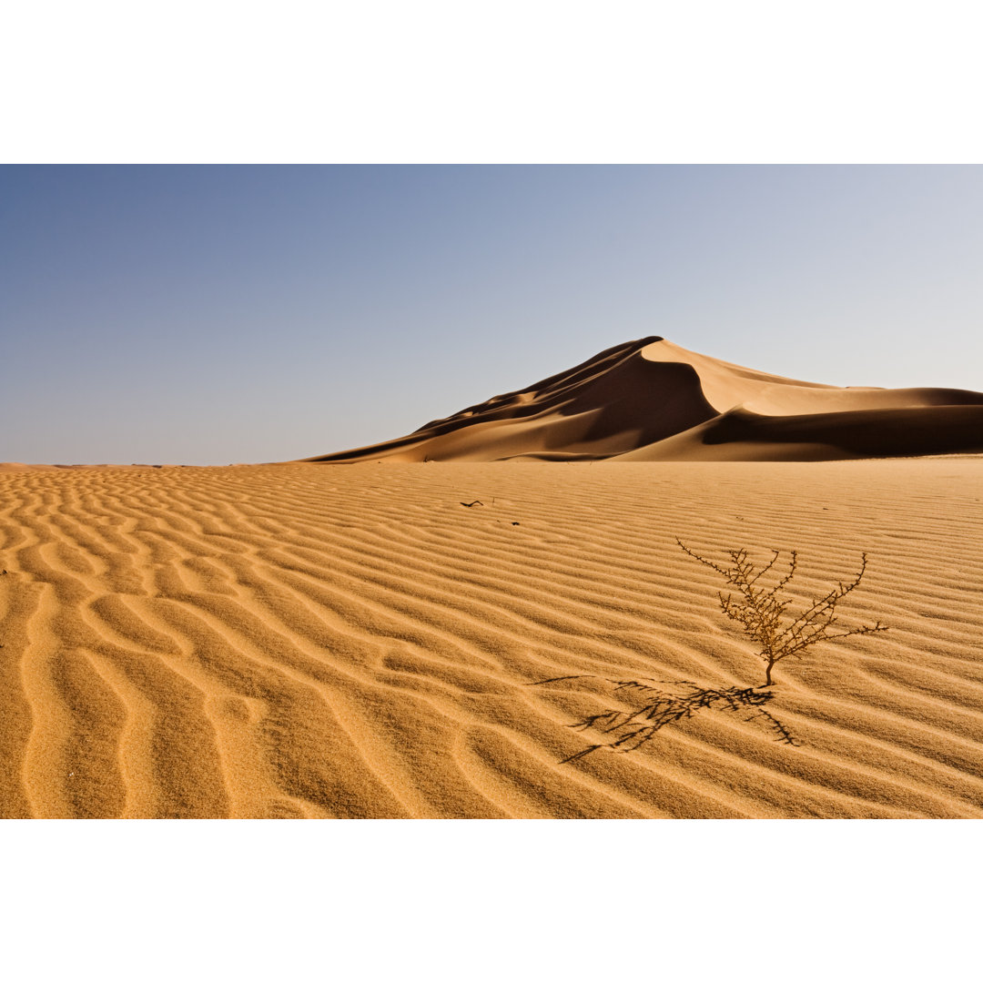 Sahara Landschaften von Cinoby - Druck auf Leinwand ohne Rahmen