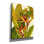 Tropical Bird Of Paradise " Tropical Bird Of Paradise " by Tim O'Toole Painting Print