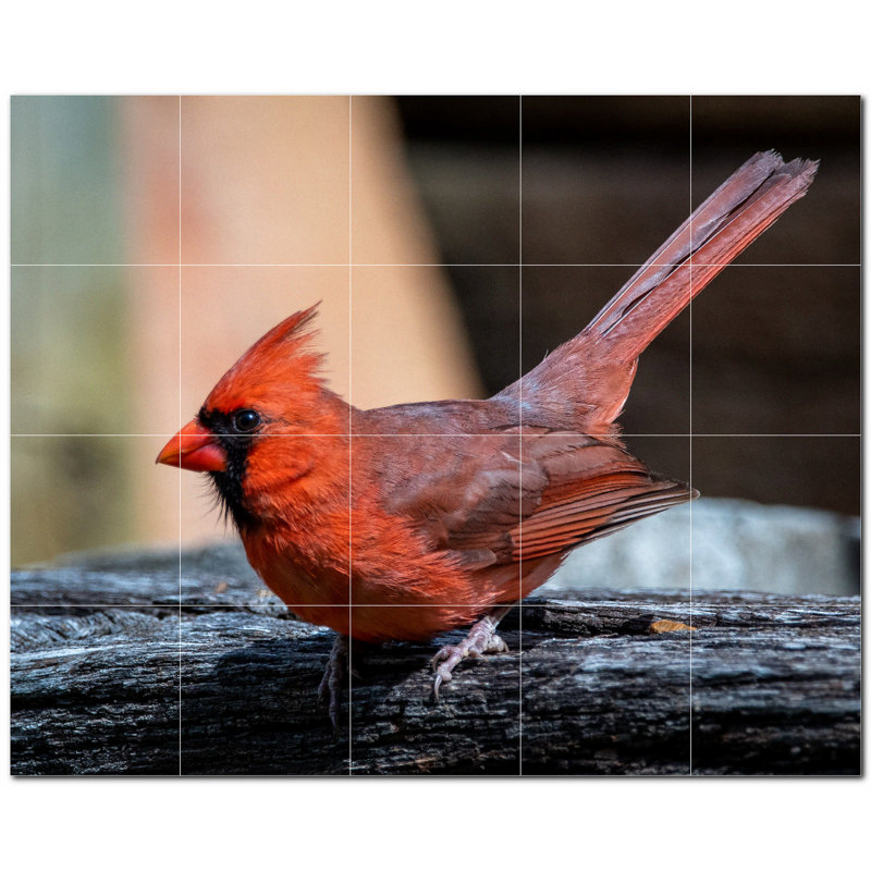 Bird Photo 6'' x 6'' Satin Ceramic Decorative Mural