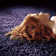 Hardin Hand Woven Wool Aubergine Rug