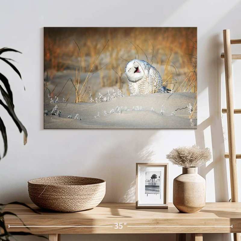 Brampt Funny Snowy Owl, 16" H x 24" W