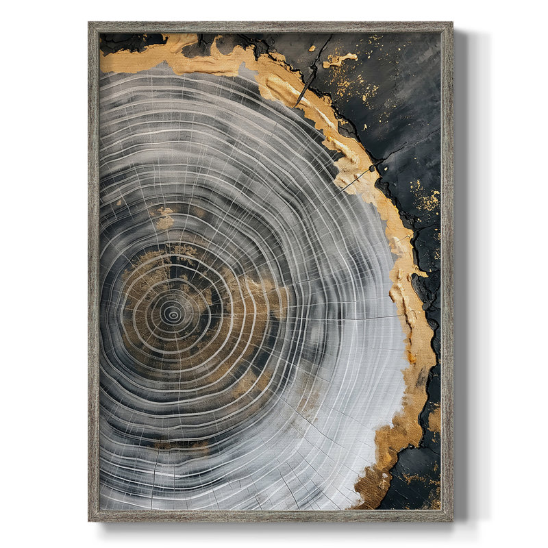 Série ABSTRACT CCxxv, reproduction encadrée - bois massif, H 30 po x l 24 po