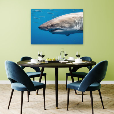Powerful Great White Shark Contemporary Fish Shark Nature Ocean Wall Art Print