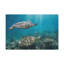 No Frame Print on Canvas-150715379