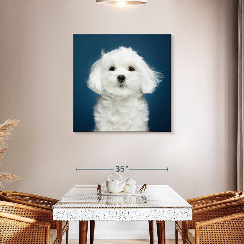 Crowle White Maltese Dog, 36" H x 36" W