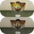 13.8" 2-light Semi Flush Mount Ceiling Light