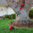 40 Brushless 40V 14'' String Trimmer Kit With Dual Line Bump Feed, Includes 2.5Ah Battery And Auto PWR JUMP Charger