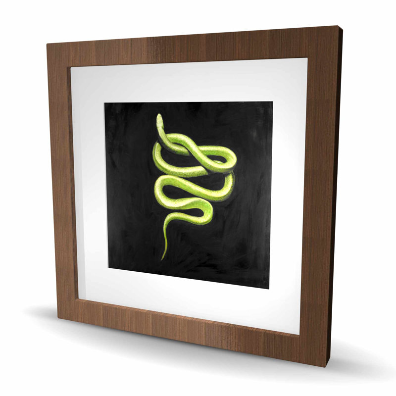 «Green Snake - Contemporary Contemporary», reproduction encadrée, Brun, H 16 po x l 16 po