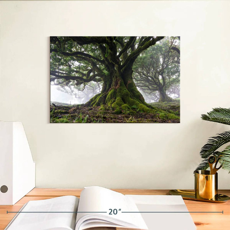 Harnek Mossy Old Trees, H 8 po x l 12 po