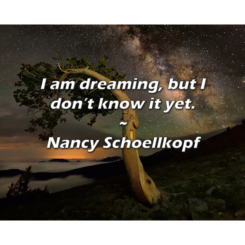 Citation de Nancy Schoellkopf: Je rêve, mais je ne le sais pas encore., H 20 po x l 24 po