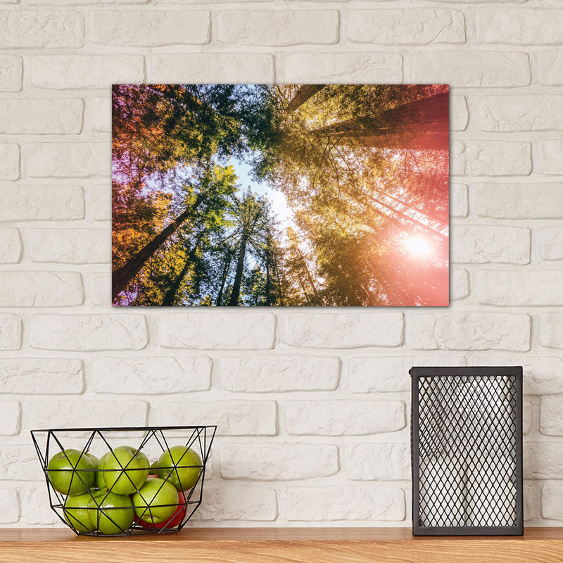 California Redwoods, Sun Rays, And Sky by Elena Kulikova - Wrapped Canvas Print, 30.48cm H x 45.72cm W x 1.91cm D