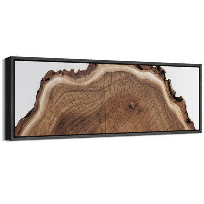 Natural Tree Ring Rustic Organic Wall Decor for Living Room Bedroom Extra Large Pictures Framed Canvas Print Wall Art