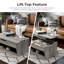 Lateafa 41.3"W Lift-Top Coffee Table with Storage-50180267