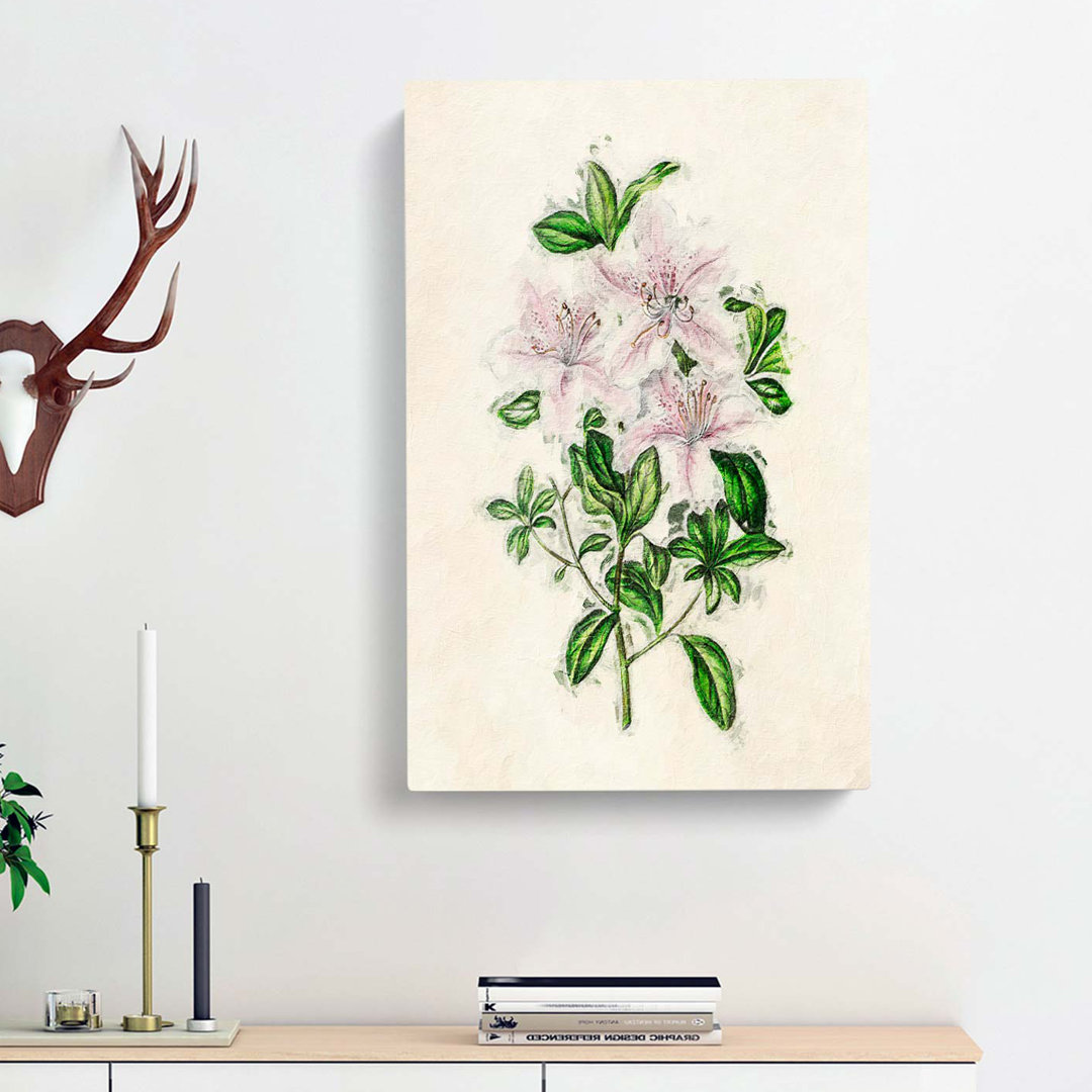 Illustration Of Pink Azaleas - Wrapped Canvas