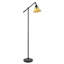 Sylvan 154cm Black Task Floor Lamp