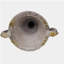 DELPHINE URN