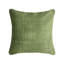 Beige: Green Cushion