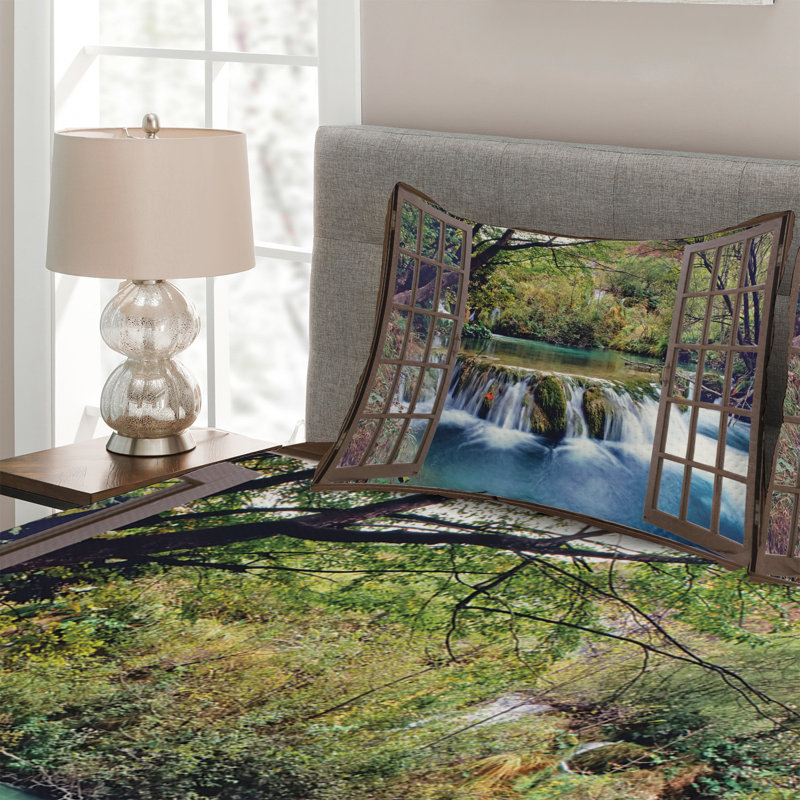 Modern & Contemporary Coverlet