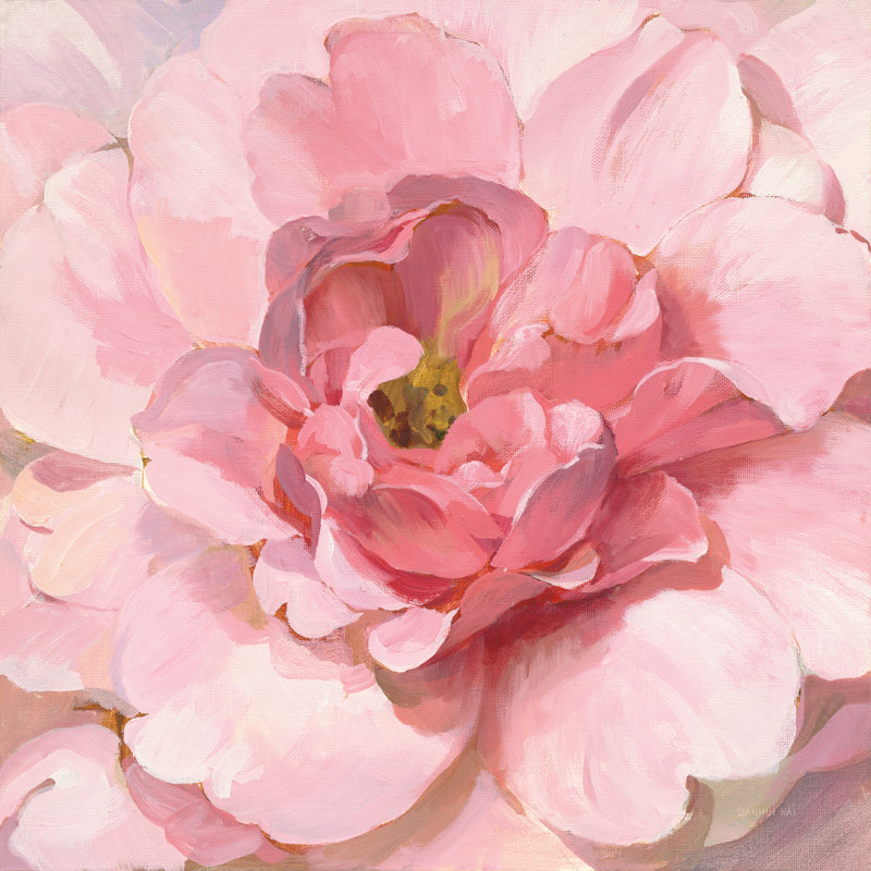 Pivoine rougissante, H 12 po x l 12 po