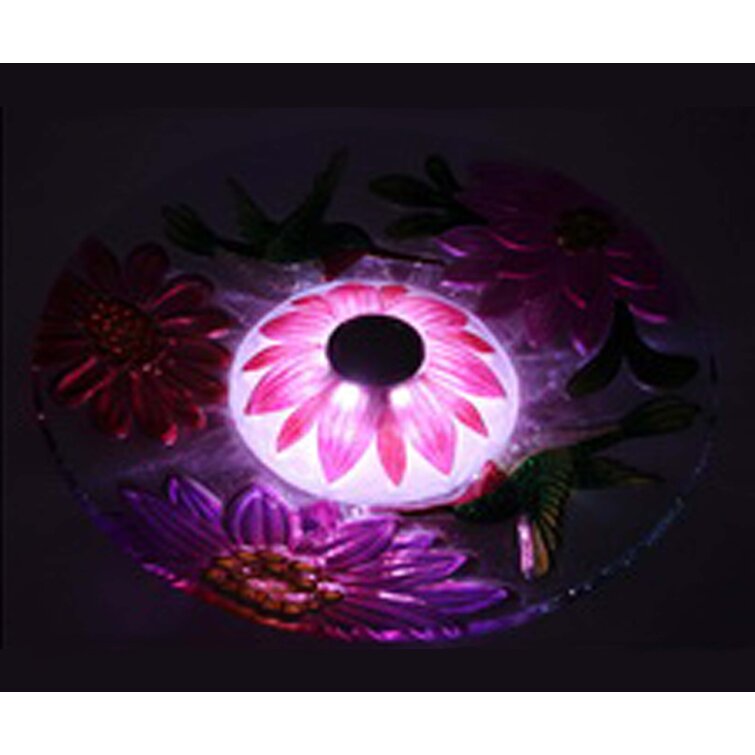 Hi-Line Gift Ltd. Bain d'oiseaux lumineux solaire en verre peacock orb et  Commentaires - Wayfair Canada