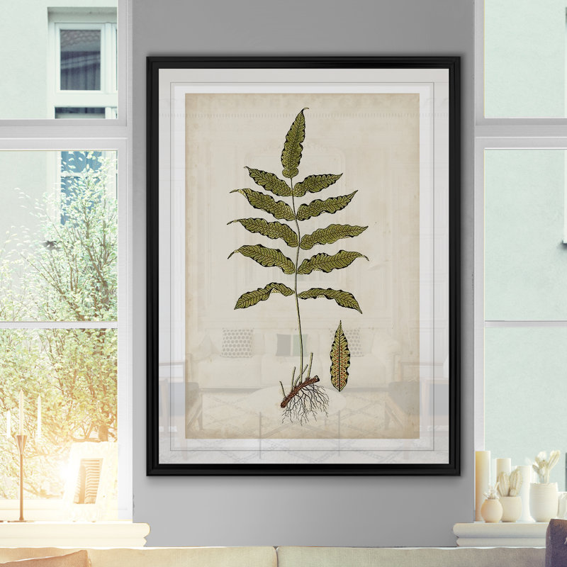 « palm botanique iii »-impression sur toile, H 18,5 po x l 24,5 po x P 1,5 po, Cadre noir