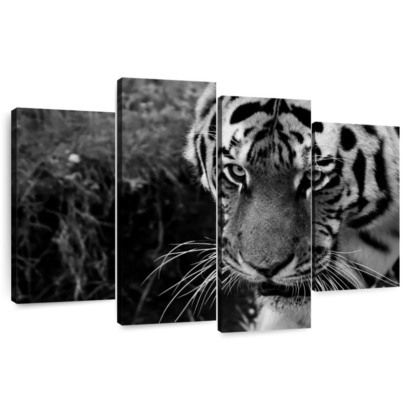 Brampt Black And White Tiger, 32" H x 52" W