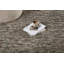 Anasa Hand Woven Area Rug-2063349133