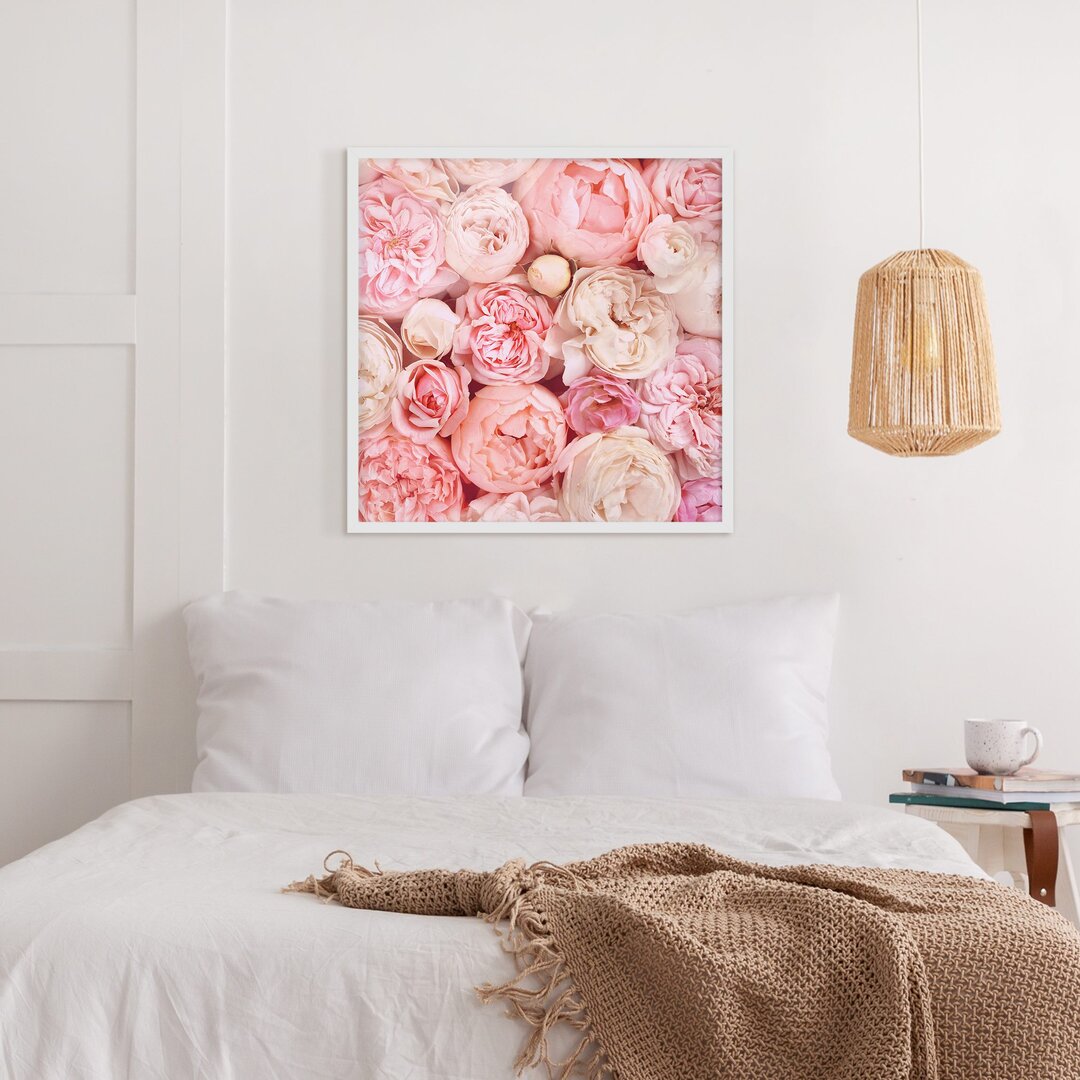 Gerahmter Grafikdruck Roses Coral Shabby