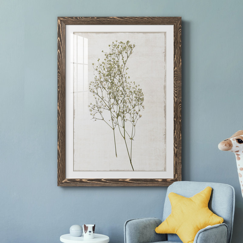 Farmhouse Pressed Flower I - peinture encadrée, Encadré de bois de noyer, H 31,5 po x l 23,5 po x P 1,5 po