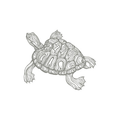 Décalcomanie murale tortue de mer Kylie