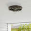 Plafonnier encastré 2 lumières 10,75 po-898657879