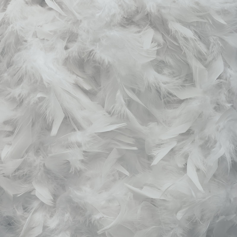White Feathers - Wrapped Canvas Print, 122cm H x 122cm W x 3.8cm D