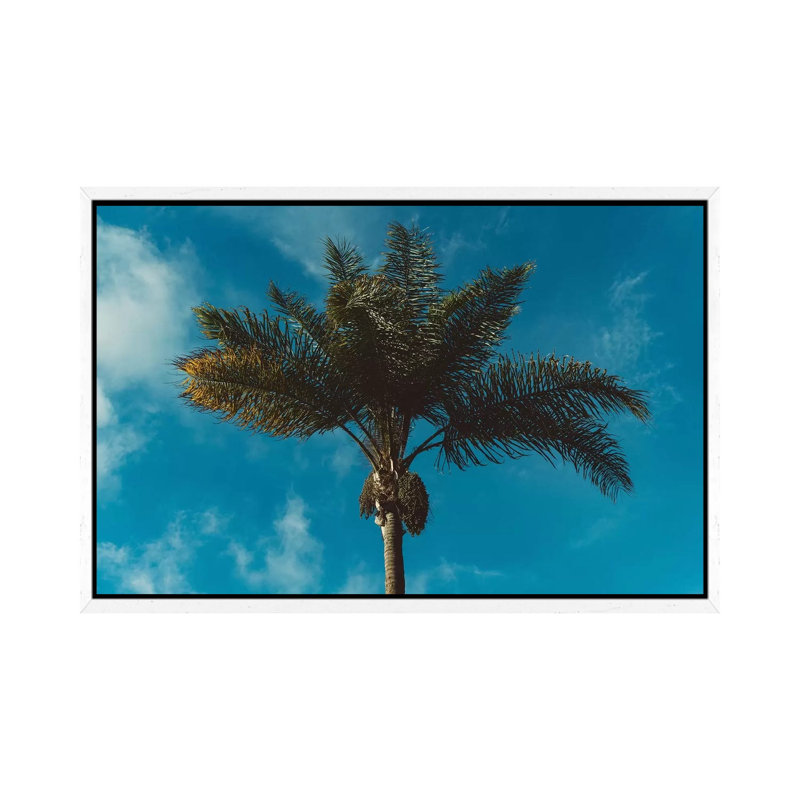 Palm Tree II by Bethany Young - Print on Canvas, White Framed, 45.72cm H x 66.04cm W x 3.81cm D