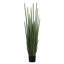 Faux Snake Plant (Sansevieria) Grass