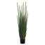 Faux Snake Plant Grass