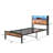 Twin Platform Bed Frame with LED Headboard, Charging Station, Bookcase Storage & Underbed Space, No Box Spring Needed-1888705715-1888705742