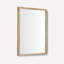 Traditional Accent Mirror-1747440536-1747440543