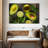 Yarlin Organic Avocados-108689837