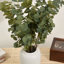 Branche d'eucalyptus artificiel Audet (1 tige)-1336703816