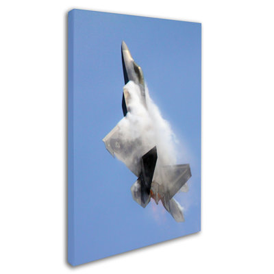 CATeyes - Photograph on Canvas